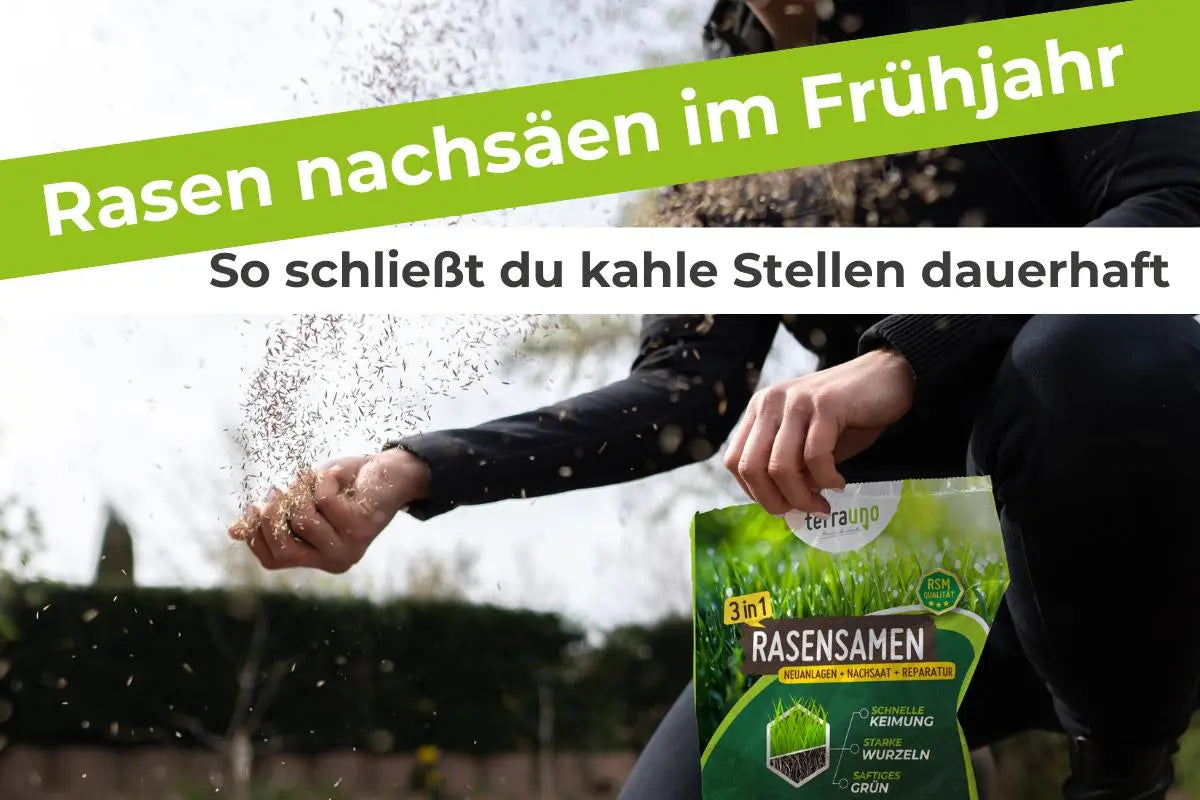 dünger für hanfpflanze Bio-Cannabis-All-In-One-Dünger 1 Liter – Purgrün main image 1