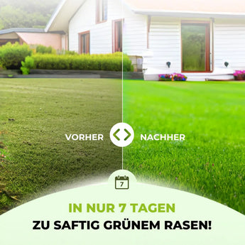 Ganzjahres Rasenpflege Set TerraUno