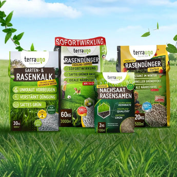 Ganzjahres Rasenpflege Set TerraUno