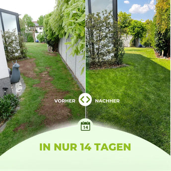 Ganzjahres Rasenpflege Set TerraUno