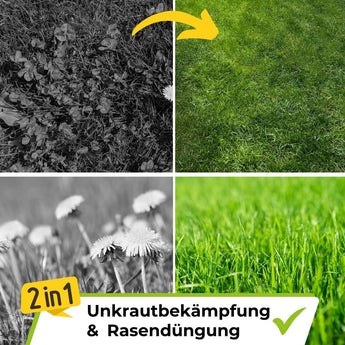 Rasendünger mit Unkrautvernichter TerraUno