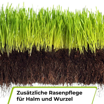 Rasendünger mit Unkrautvernichter TerraUno