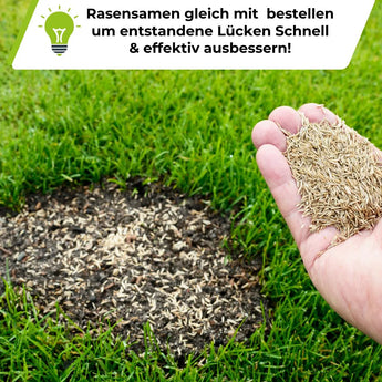 Rasendünger mit Unkrautvernichter TerraUno