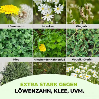 Rasendünger mit Unkrautvernichter TerraUno