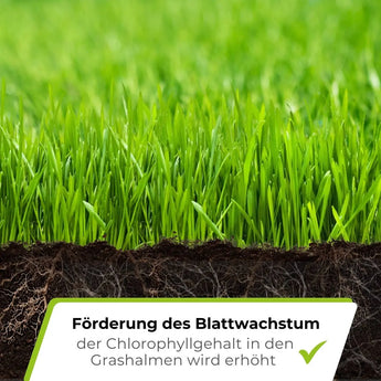 Speed Rasendünger N21 TerraUno