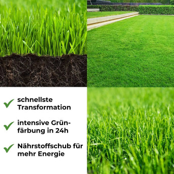 Speed Rasendünger N21 TerraUno