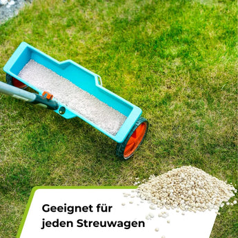 Speed Rasendünger N21 TerraUno