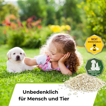 Speed Rasendünger N21 TerraUno