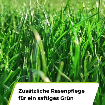 Speed Rasendünger N21 TerraUno