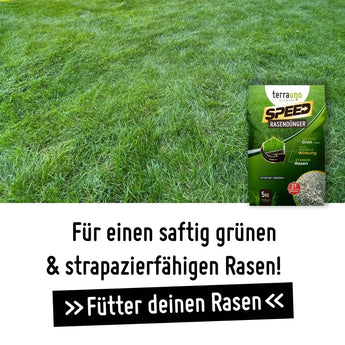 Speed Rasendünger N21 TerraUno