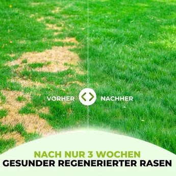 Sommerpflege Set TerraUno