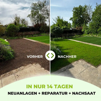 Rasensamen - Nachsaat, Reparatur und Neuanlage TerraUno