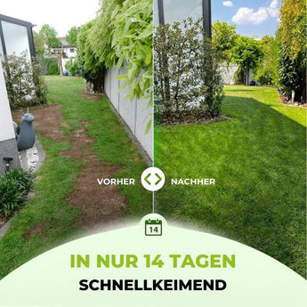 Rasensamen - Nachsaat, Reparatur und Neuanlage TerraUno