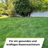 Rasenerde torffrei - Terrauno