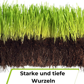 Rasensamen - Nachsaat, Reparatur und Neuanlage TerraUno