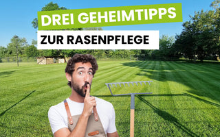 Unsere-besten-Geheimtipps-zur-Rasenpflege Terrauno