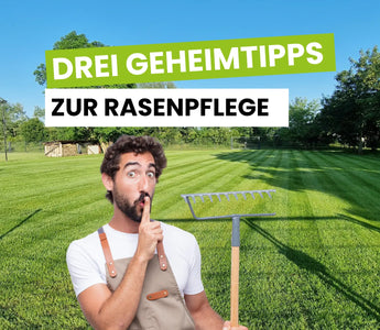 Unsere-besten-Geheimtipps-zur-Rasenpflege Terrauno