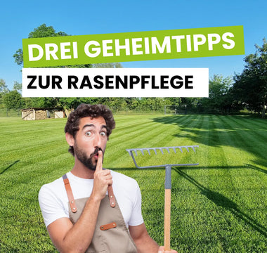 Unsere-besten-Geheimtipps-zur-Rasenpflege Terrauno
