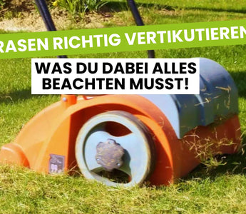 rasen vertikutieren