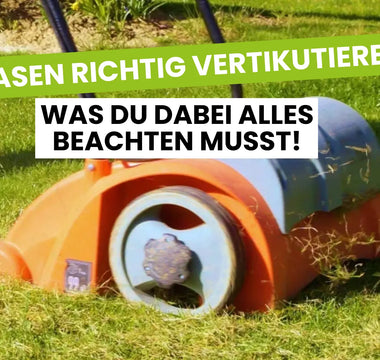 rasen vertikutieren