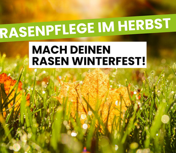 Rasenpflege im Herbst