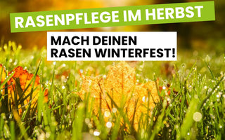 Rasenpflege-im-Herbst Terrauno