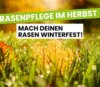 Rasenpflege-im-Herbst Terrauno