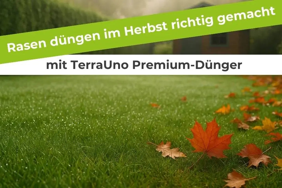 Rasen-düngen-im-Herbst-richtig-gemacht-mit-TerraUno-Premium-Dünger Terrauno