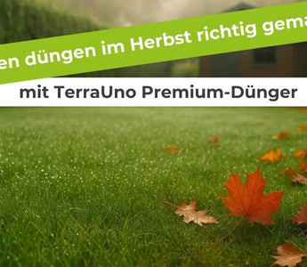 Rasen-düngen-im-Herbst-richtig-gemacht-mit-TerraUno-Premium-Dünger Terrauno