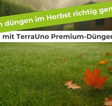 tomaten dünger TerraDomi Tomatendünger 1 Liter Flüssigdünger Konzentrat – TerraDomi  Onlineshop main image 1