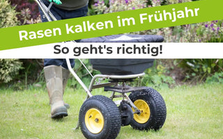 Rasen-kalken-im-Frühjahr-So-geht-s-richtig Terrauno