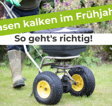 Rasen-kalken-im-Frühjahr-So-geht-s-richtig Terrauno