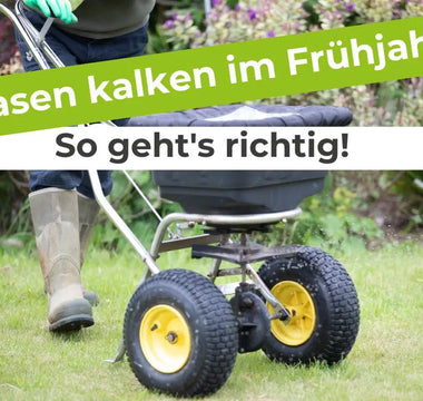 Rasen-kalken-im-Frühjahr-So-geht-s-richtig Terrauno