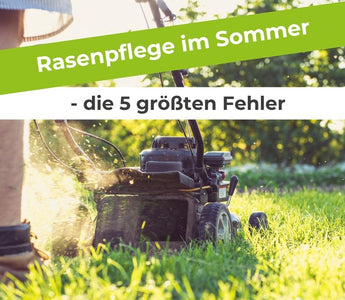 Rasenpflege-im-Sommer-die-5-größten-Fehler Terrauno