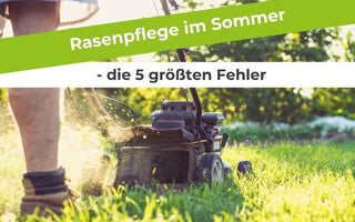 Rasenpflege-im-Sommer-die-5-größten-Fehler Terrauno