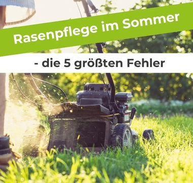 Rasenpflege-im-Sommer-die-5-größten-Fehler Terrauno