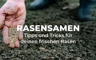 Rasensamen, Tipps und Tricks für deinen Rasen