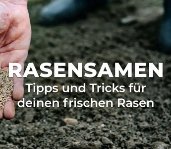 Rasensamen, Tipps und Tricks für deinen Rasen