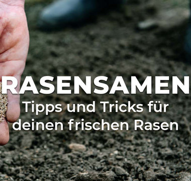 Rasensamen, Tipps und Tricks für deinen Rasen