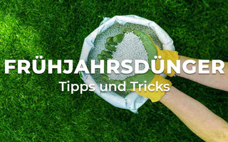 Frühjahrsdünger