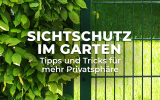 Sichtschutz im Garten - °Tipps und Tricks