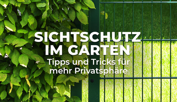 Sichtschutz im Garten - °Tipps und Tricks