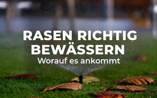 Rasenbewässerung - Darauf kommt es wirklich an