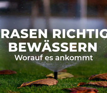 Rasenbewässerung - Darauf kommt es wirklich an