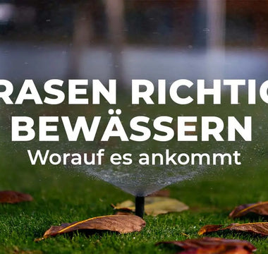 Rasenbewässerung - Darauf kommt es wirklich an