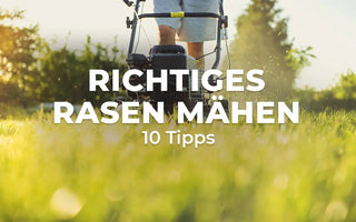 Richtiges Rasen mähen 