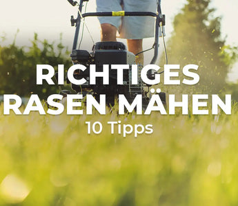 Richtiges Rasen mähen 