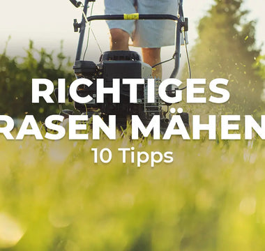 Richtiges Rasen mähen 