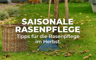Saisonale Rasenpflege