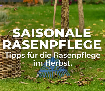 Saisonale Rasenpflege